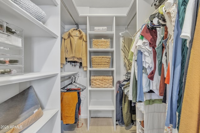 view of walk in closet