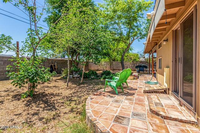 view of yard with a fenced backyard and a patio