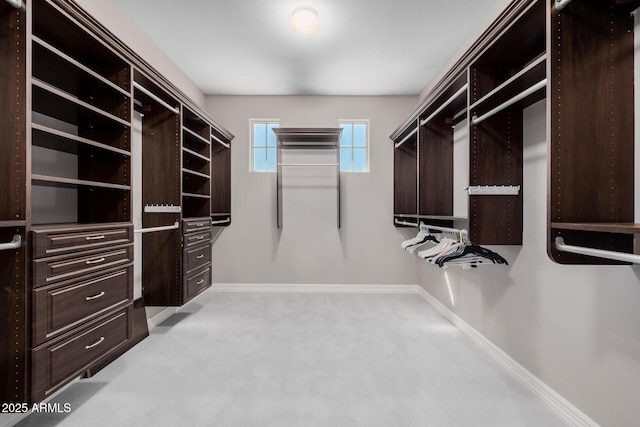 walk in closet with carpet flooring