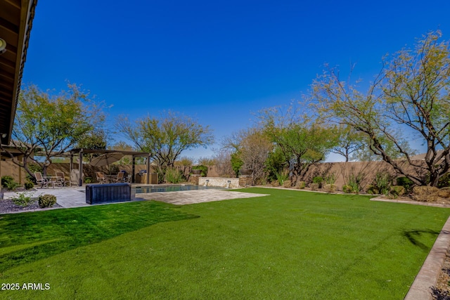 view of yard with a fenced backyard and a patio