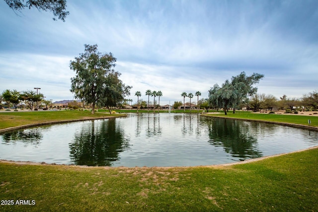 view of water feature