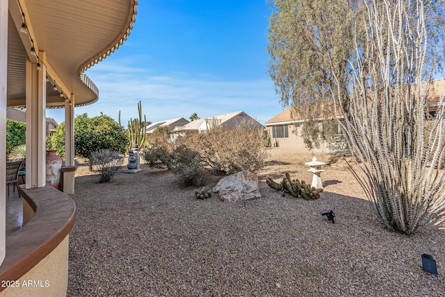 view of yard featuring a patio area