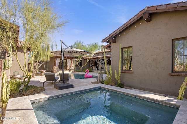 view of swimming pool featuring a patio area