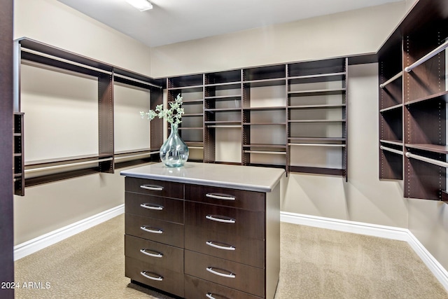 walk in closet with light colored carpet