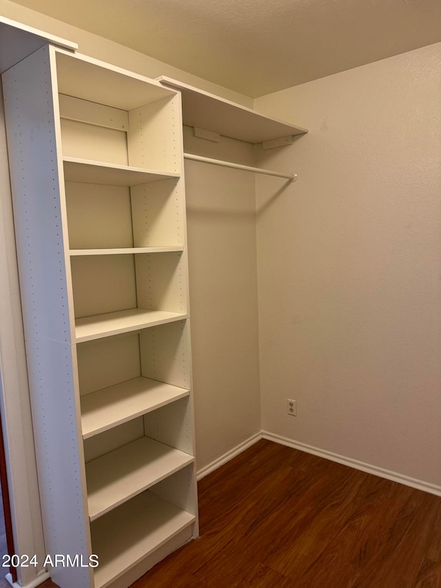 spacious closet featuring dark hardwood / wood-style flooring