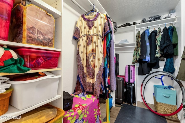 walk in closet with wood finished floors