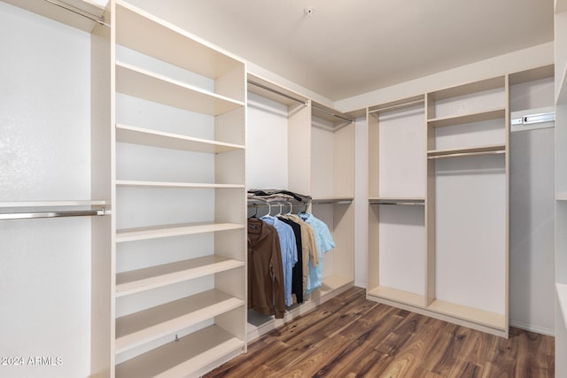 spacious closet with dark wood-type flooring