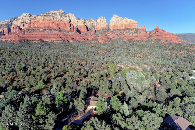 view of mountain feature