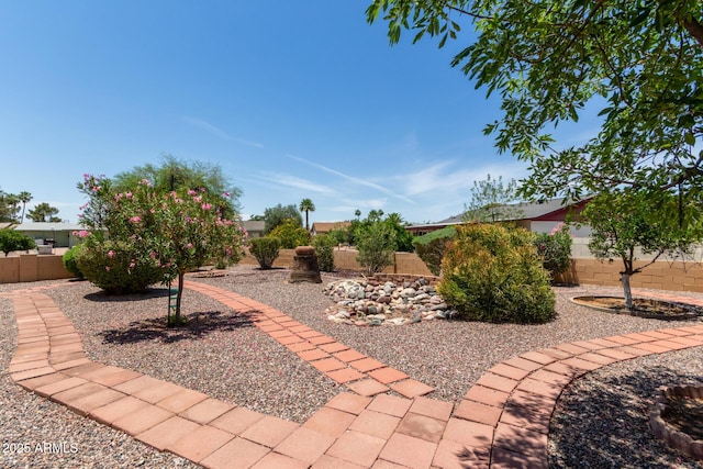 922 S 80th St, Mesa, AZ 85208 - view of fenced backyard