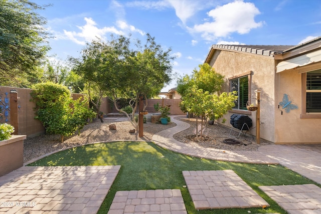 view of yard with a patio