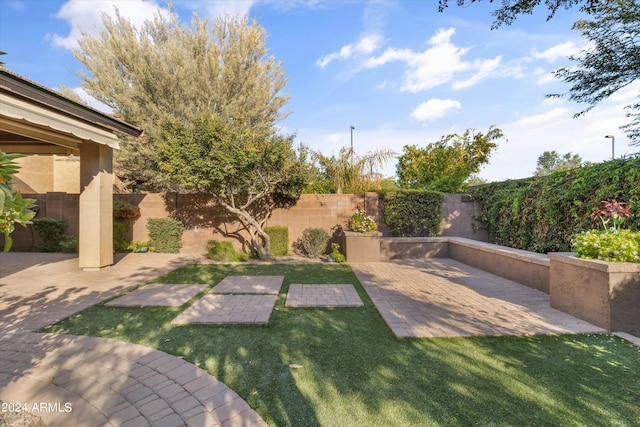 view of yard with a patio area