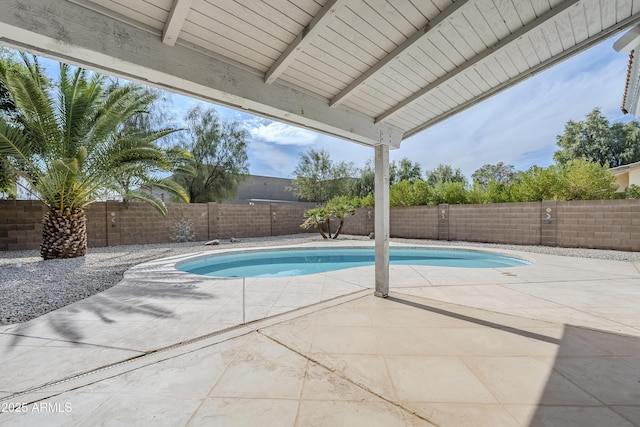 view of pool with a patio