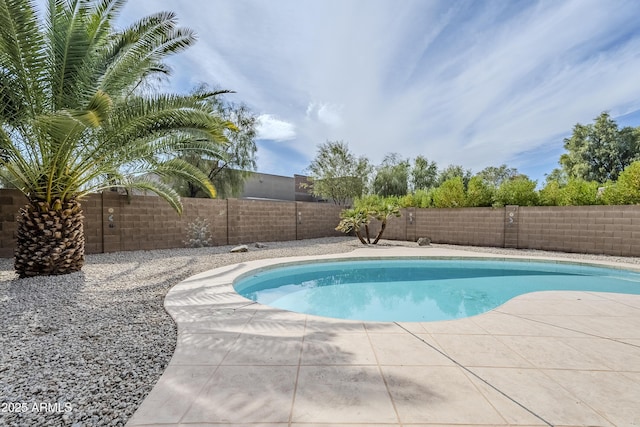 view of pool featuring a patio area