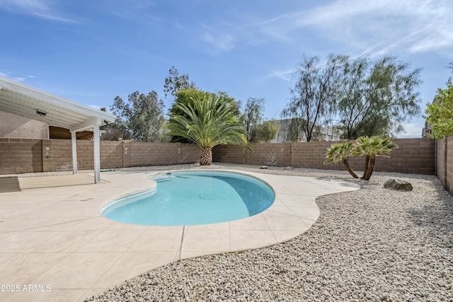 view of swimming pool featuring a patio