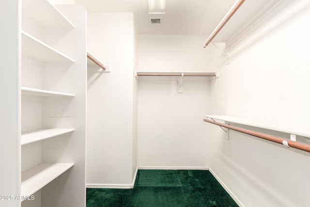 spacious closet with carpet and visible vents