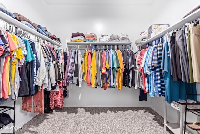 walk in closet featuring carpet floors