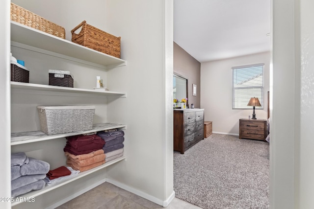 interior space with light colored carpet