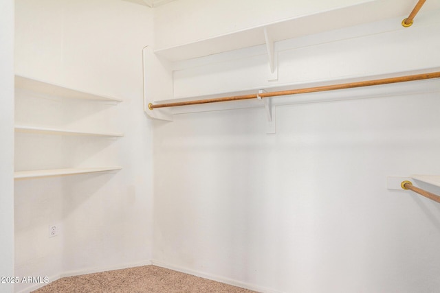 walk in closet with carpet floors