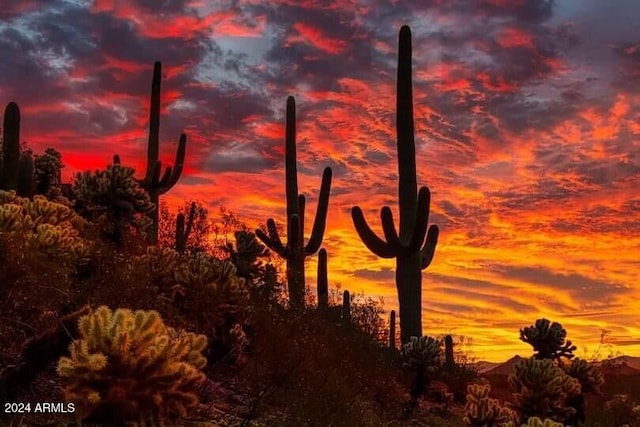 view of nature at dusk