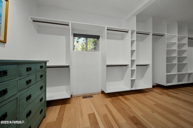 walk in closet with light hardwood / wood-style flooring