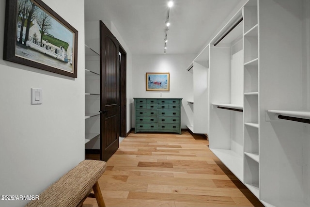 spacious closet featuring light hardwood / wood-style flooring