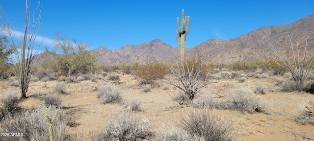 Listing photo 3 for 0 W Ocotillo Rd Unit 0, Buckeye AZ 85326