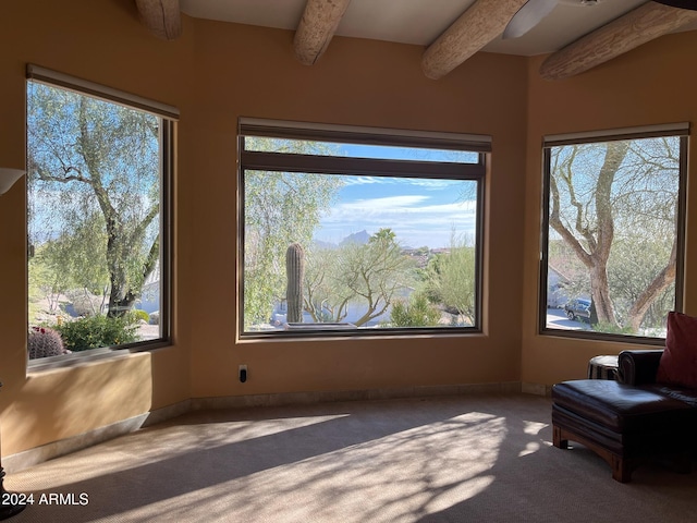 interior space with beamed ceiling, carpet floors, and a wealth of natural light