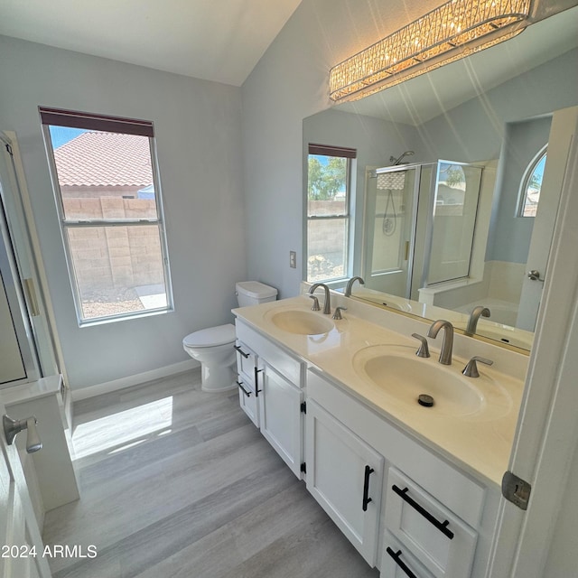 bathroom with an enclosed shower, vanity, toilet, and a wealth of natural light