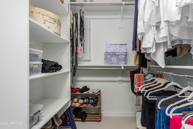 walk in closet with carpet floors