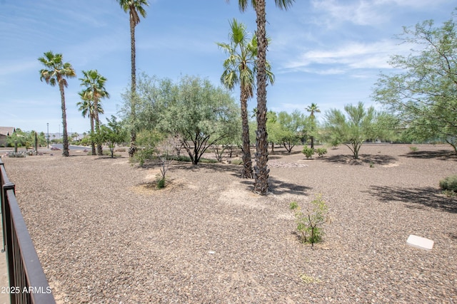 16772 W Cypress St, Goodyear, AZ 85395 - view of yard