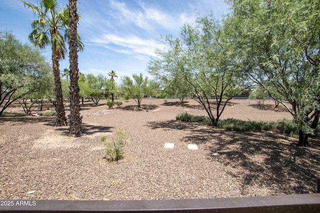 16772 W Cypress St, Goodyear, AZ 85395 - view of yard