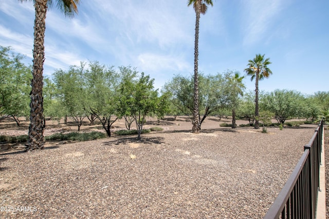 16772 W Cypress St, Goodyear, AZ 85395 - view of yard