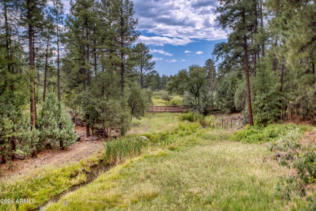 view of yard featuring a wooded view