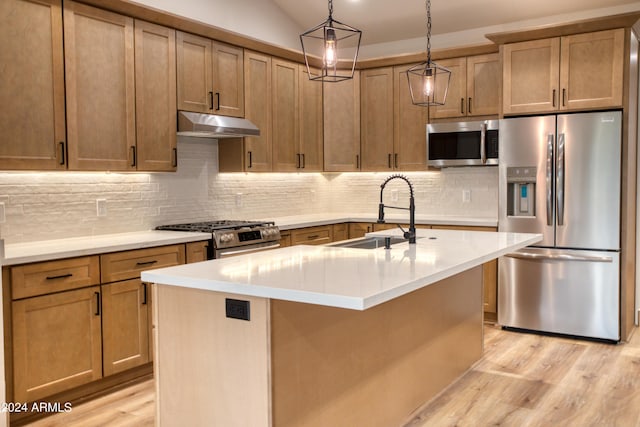 kitchen featuring stainless steel appliances, light wood-type flooring, a sink, and under cabinet range hood