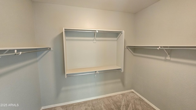 walk in closet featuring carpet flooring