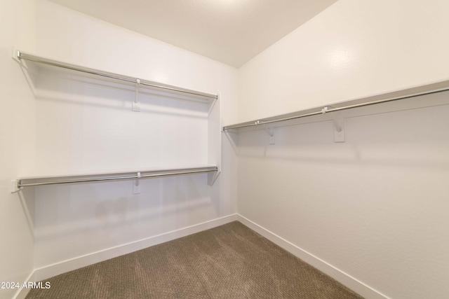 spacious closet with dark carpet