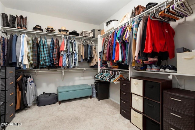 spacious closet with light carpet