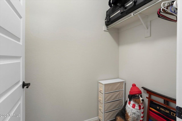 view of spacious closet