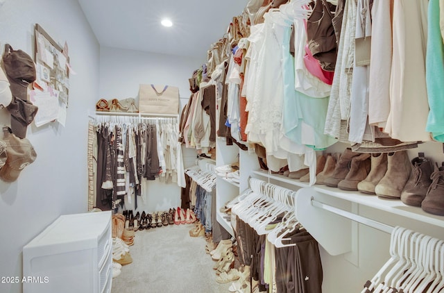 walk in closet with carpet flooring