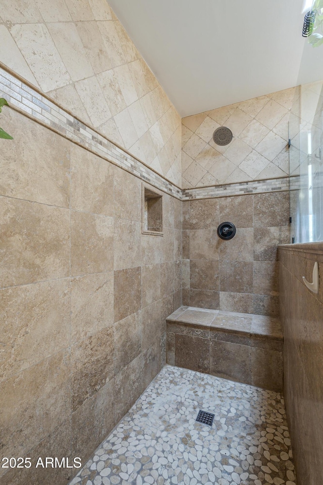 533 N Cobblestone St, Gilbert, AZ 85234 - full bathroom with tiled shower