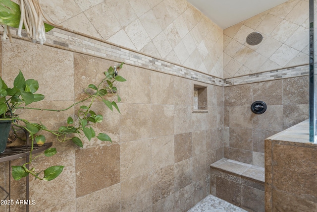 533 N Cobblestone St, Gilbert, AZ 85234 - bathroom with tiled shower