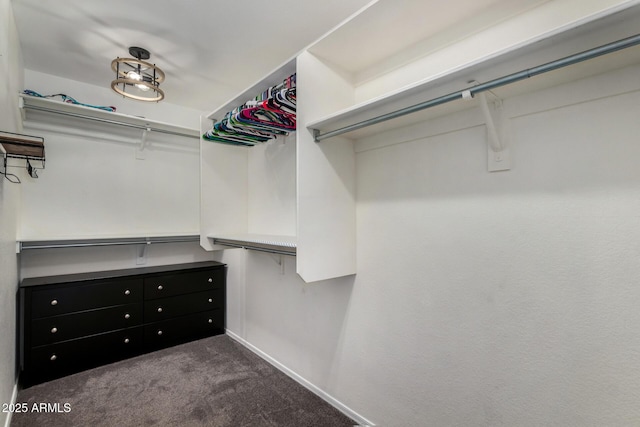 2934 S Woodruff Cir, Mesa, AZ 85212 - spacious closet with dark carpet