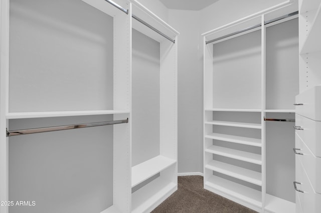 17429 W Red Bird Rd, Surprise, AZ 85387 - walk in closet with dark carpet