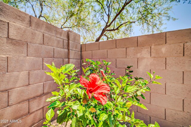 17429 W Red Bird Rd, Surprise, AZ 85387 - exterior details featuring fence
