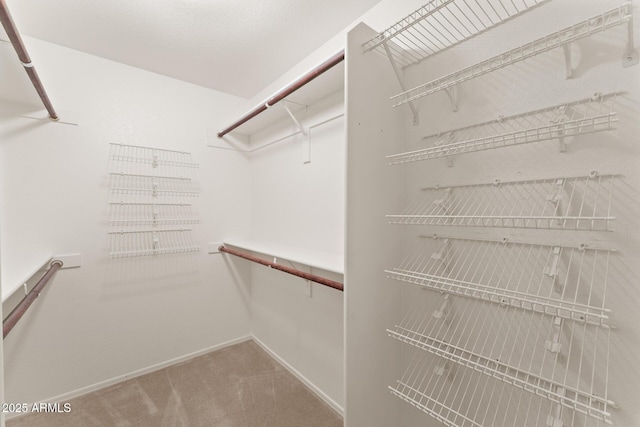 walk in closet with carpet