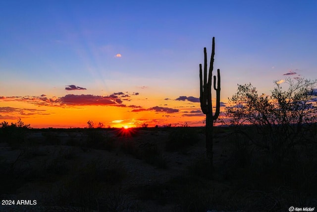 view of nature at dusk