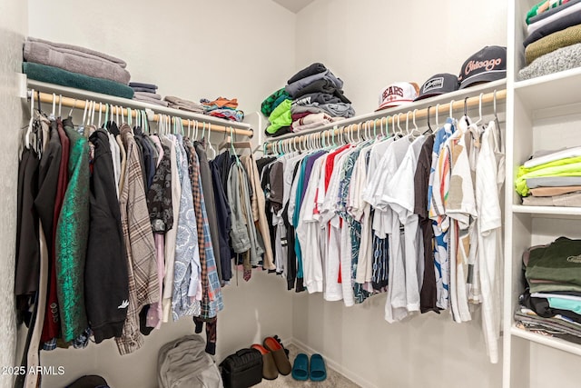 spacious closet featuring carpet