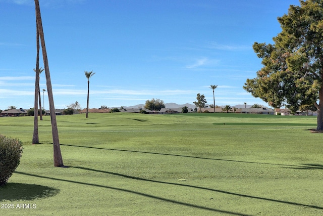 view of community featuring a yard