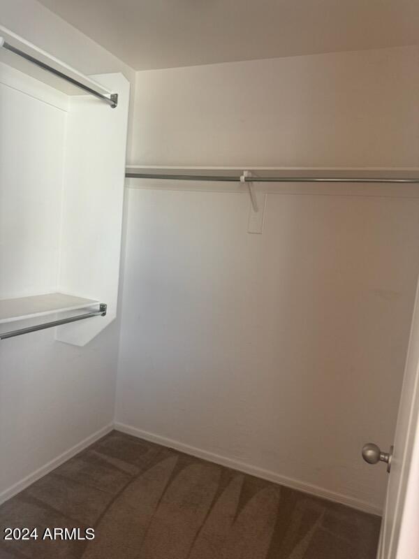 walk in closet featuring dark colored carpet