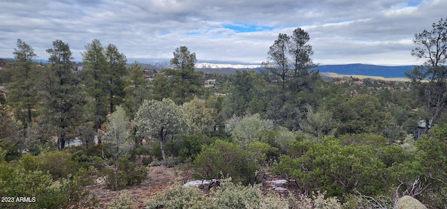 Listing photo 2 for 1907 E Cliff Rose Dr Unit 817, Payson AZ 85541